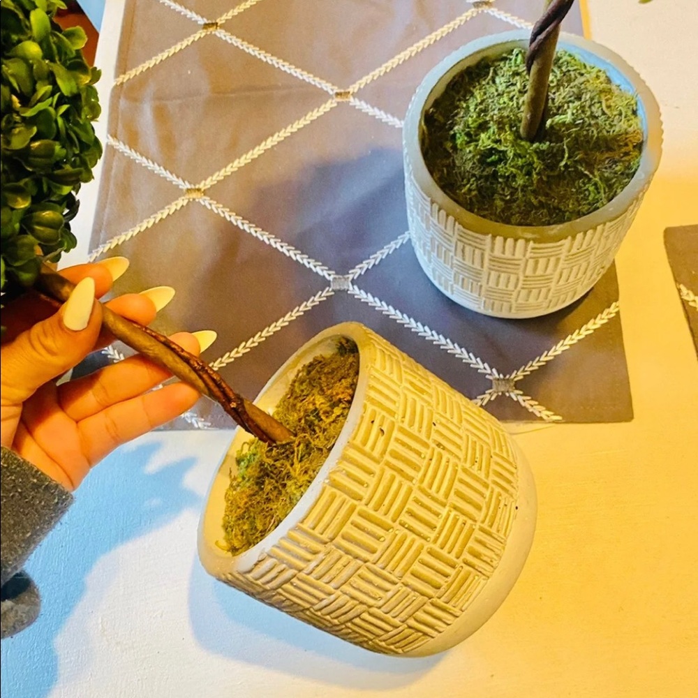 Faux Trees - Picture 3 of 3